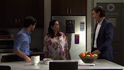 David Tanaka, Kim Taylor, Leo Tanaka in Neighbours Episode 