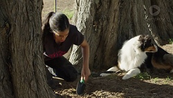 Yashvi Rebecchi, Clancy in Neighbours Episode 7596