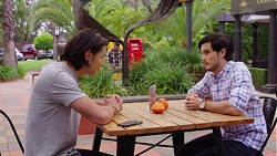 Leo Tanaka, David Tanaka in Neighbours Episode 