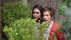 Dipi Rebecchi, Susan Kennedy in Neighbours Episode 7691