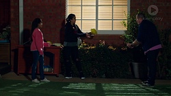 Kirsha Rebecchi, Yashvi Rebecchi, Toadie Rebecchi in Neighbours Episode 7695