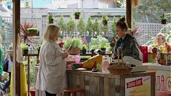 Sheila Canning, Sonya Rebecchi in Neighbours Episode 7697