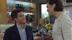 David Tanaka, Leo Tanaka in Neighbours Episode 