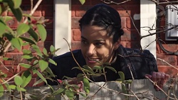 Yashvi Rebecchi in Neighbours Episode 